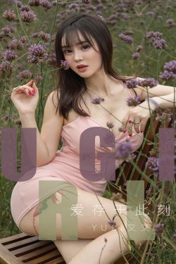 插上科学的翅膀飞450字