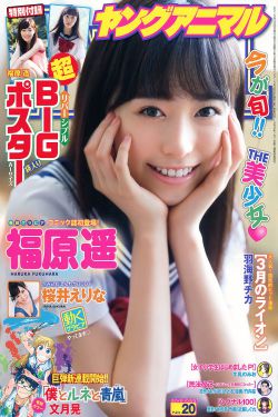 喜爱夜蒲3完整版