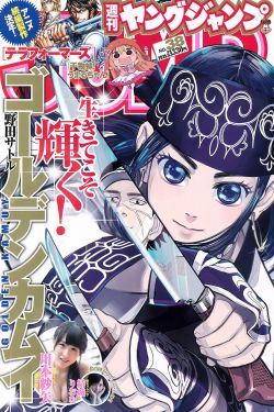 新上门女婿全集